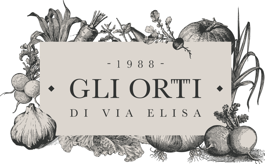 gli orti di via elisa dal 1988